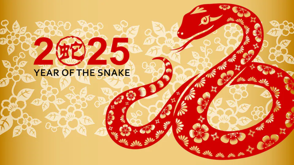 Qingdao Be -Win Ind & Trade Co, Ltd.: Holiday Notice (Enero 18 - Pebrero 4, 2025)